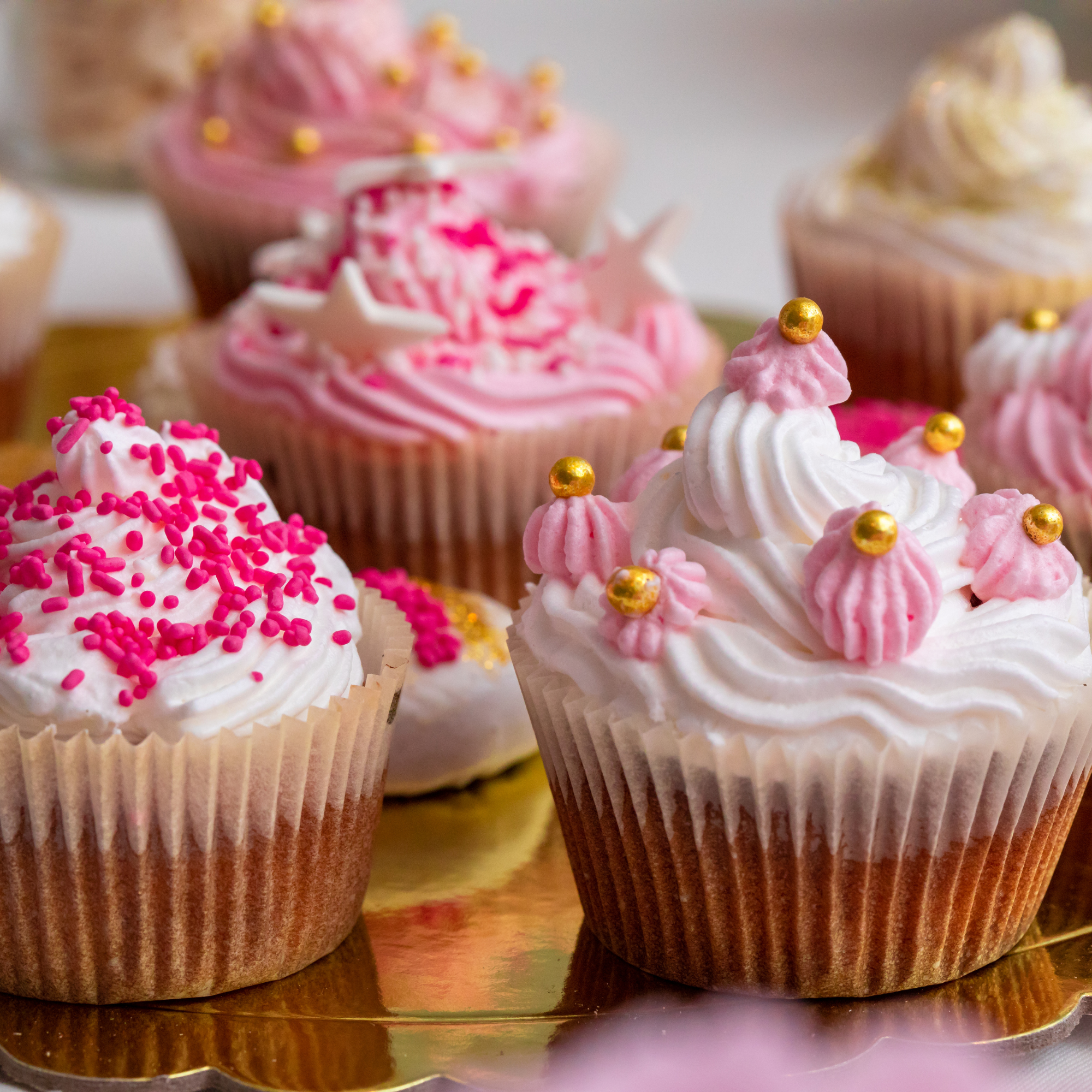 Fresh cupcakes from Suga's Bakery